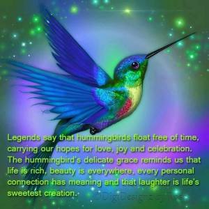 hummingbird