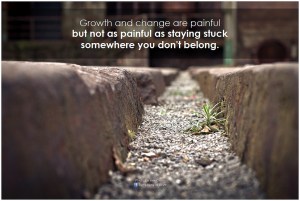 13420184833_42d22e76fd_b