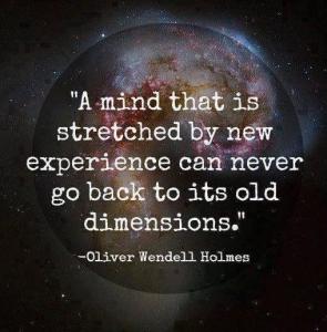 a-mind-that-is-stretched-by-a-new-experience-can-never-go-back-to-its-old-dimensions-quote-2